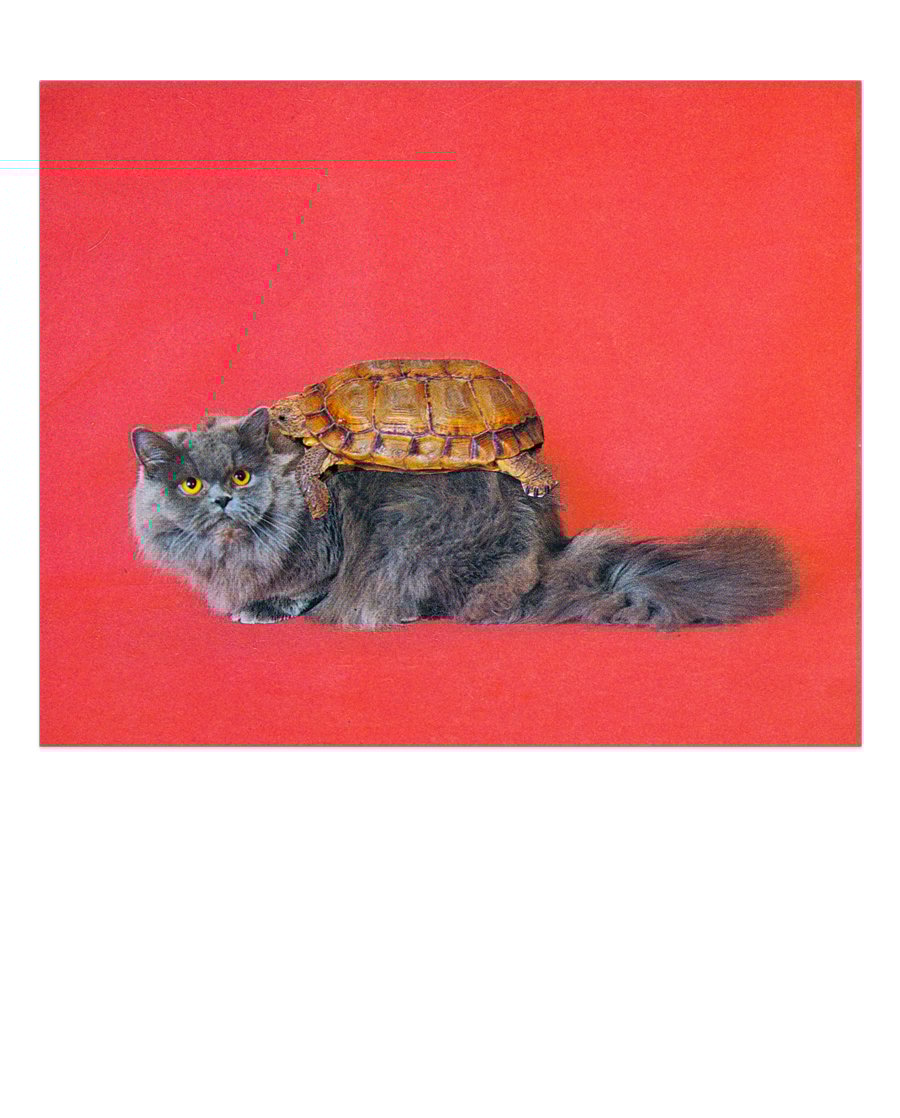 Image of 【Signed】'LOVE' - art print