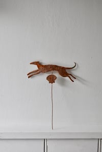 Image 2 of Whippet and shell