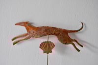 Image 1 of Whippet and shell
