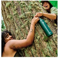 Image 6 of Hydro Flask™️ Standard Mouth Bottle 21 oz, 24 oz | Tonal Birch