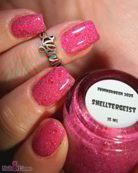Image 12 of Shelltergeist