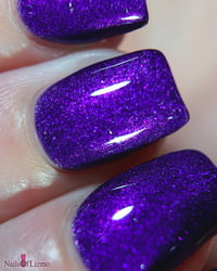 Image 10 of Zero Gravity