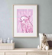Image 2 of Pink Cockatoo Art Print