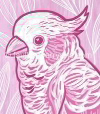 Image 3 of Pink Cockatoo Art Print