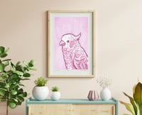Image 4 of Pink Cockatoo Art Print