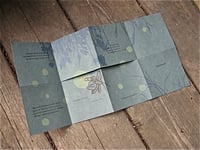 Image 4 of "Specimens" Set of Letterpress-printed Miniature Books