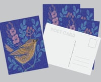 Image 1 of Spring Wren Postcard Set