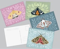 Image 1 of Spring Moths Postcard Set 