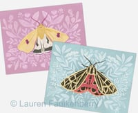 Image 2 of Spring Moths Postcard Set 