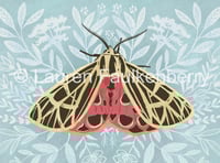 Image 4 of Spring Moths Postcard Set 