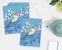 Image 1 of Hummingbird Postcard Set