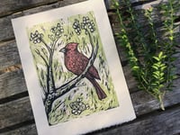 Image 1 of Woodcut Print with Cardinal, limited edition