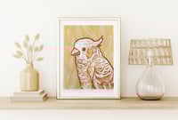 Image 1 of Gold Cockatoo Print