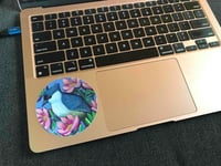 Image 5 of Titmouse Vinyl Sticker, 3-inch