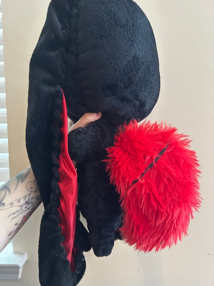 Image of A Gibbie named Dragon