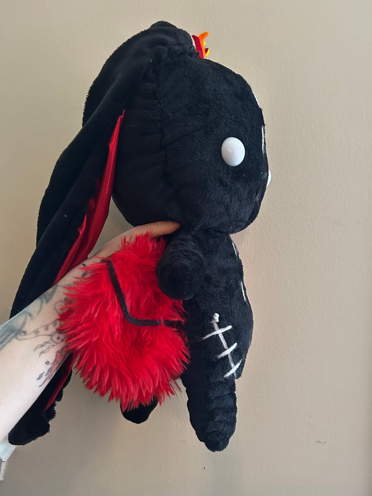 Image of A Gibbie named Dragon