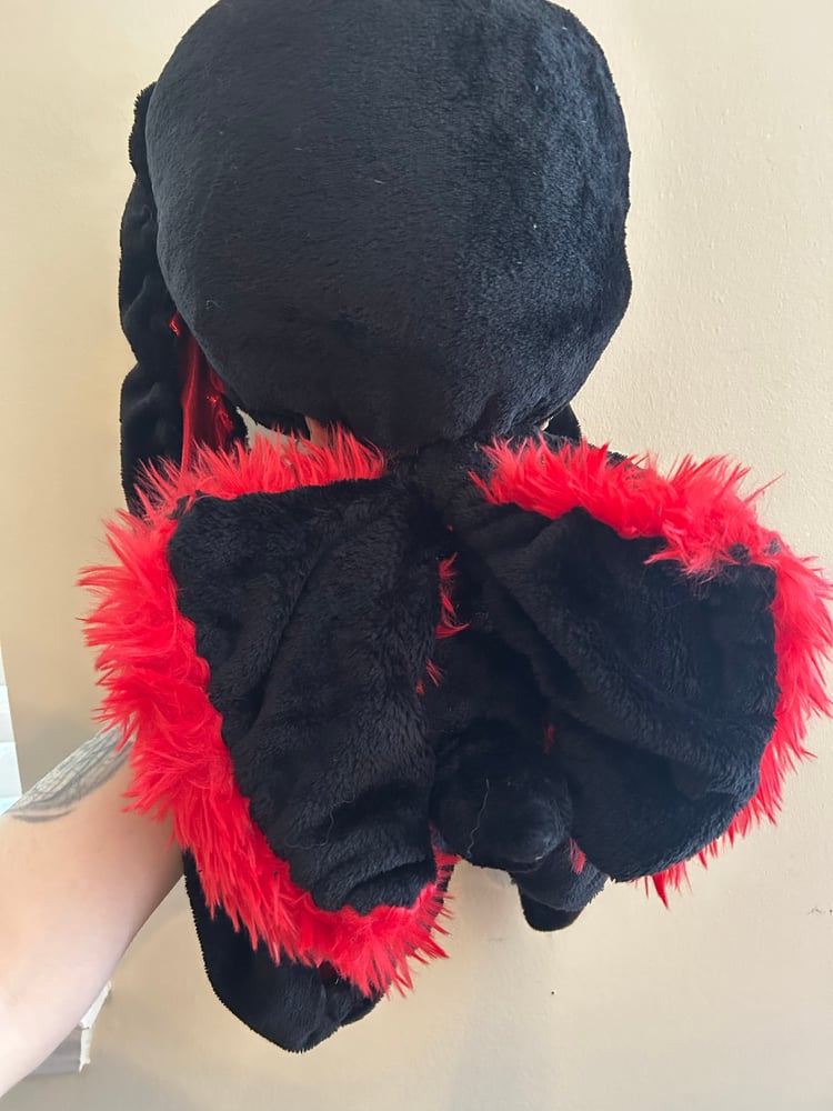 Image of A Gibbie named Dragon