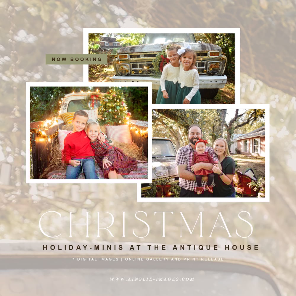 Image of Holiday Minis at the Antique House