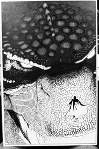 Justice League vs Godzilla and Kong 2 #1 variant cover