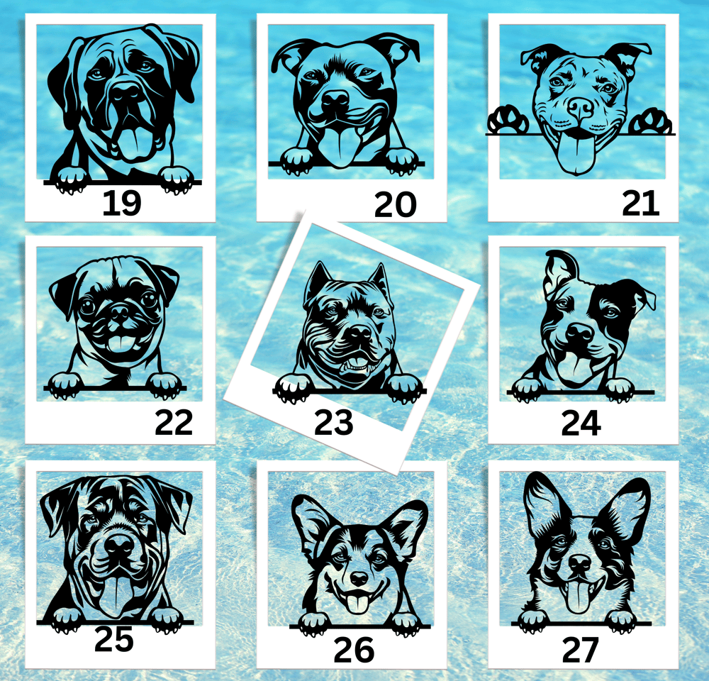Image of FUN SIZE  DECALS  dog breeds 2