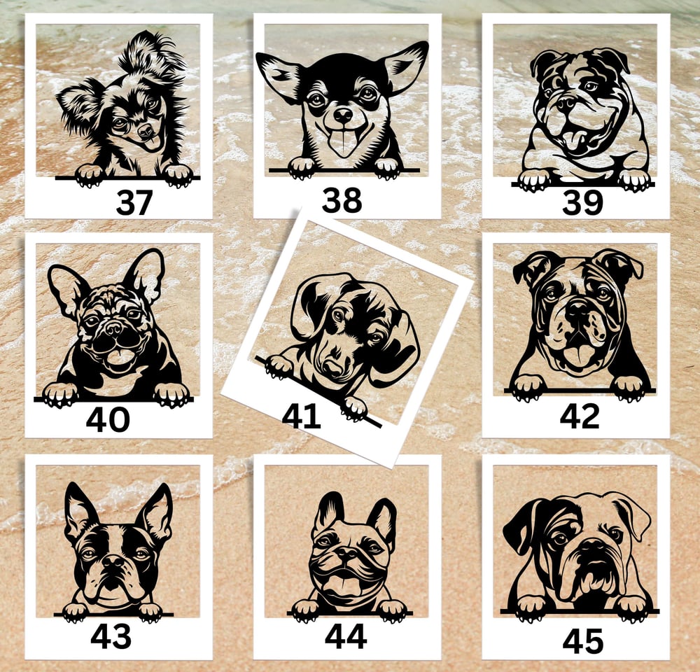 Image of FUN SIZE decals Dog breeds 3