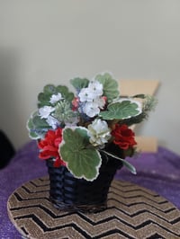 Image 2 of Small Basket-Black/Brown