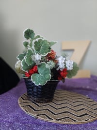 Image 3 of Small Basket-Black/Brown 