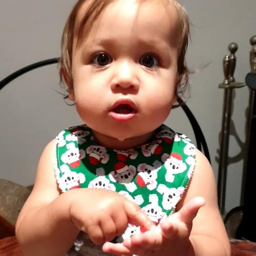 Image of Christmas bibs