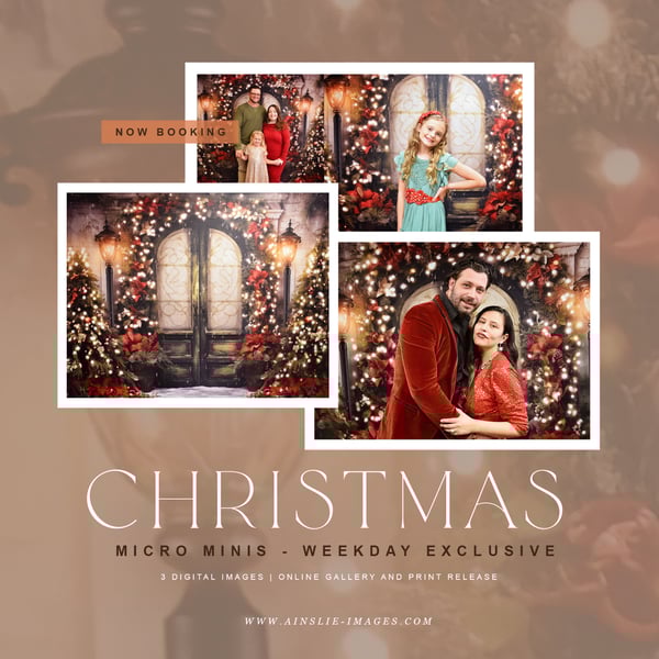 Image of Holiday Micro Mini Sessions - Weekday Exclusive! 