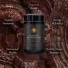 MASONS MUSHROOMS- Immune & Gut Tonic