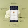 LION'S MANE (Hericium erinaceus) - Brain & Nerve Protection