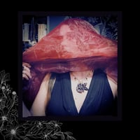 Image 8 of 🜢 Helleborus Nero Aureum 🜢