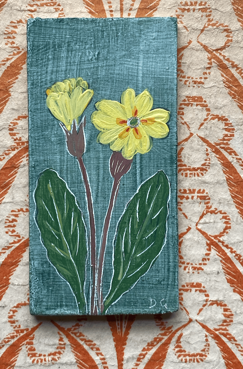 Image of Tiny Primrose (A)