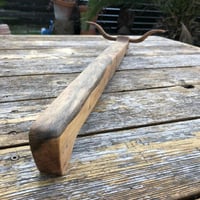 Image 4 of LONGhorn Sculpture