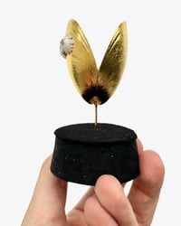 Image 2 of Mussel Shell