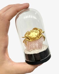 Image 2 of Crab Rose quartz dome