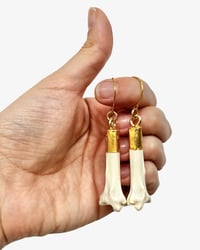 Hare Bone earrings I