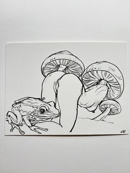 Image of Original Frog Mush Study