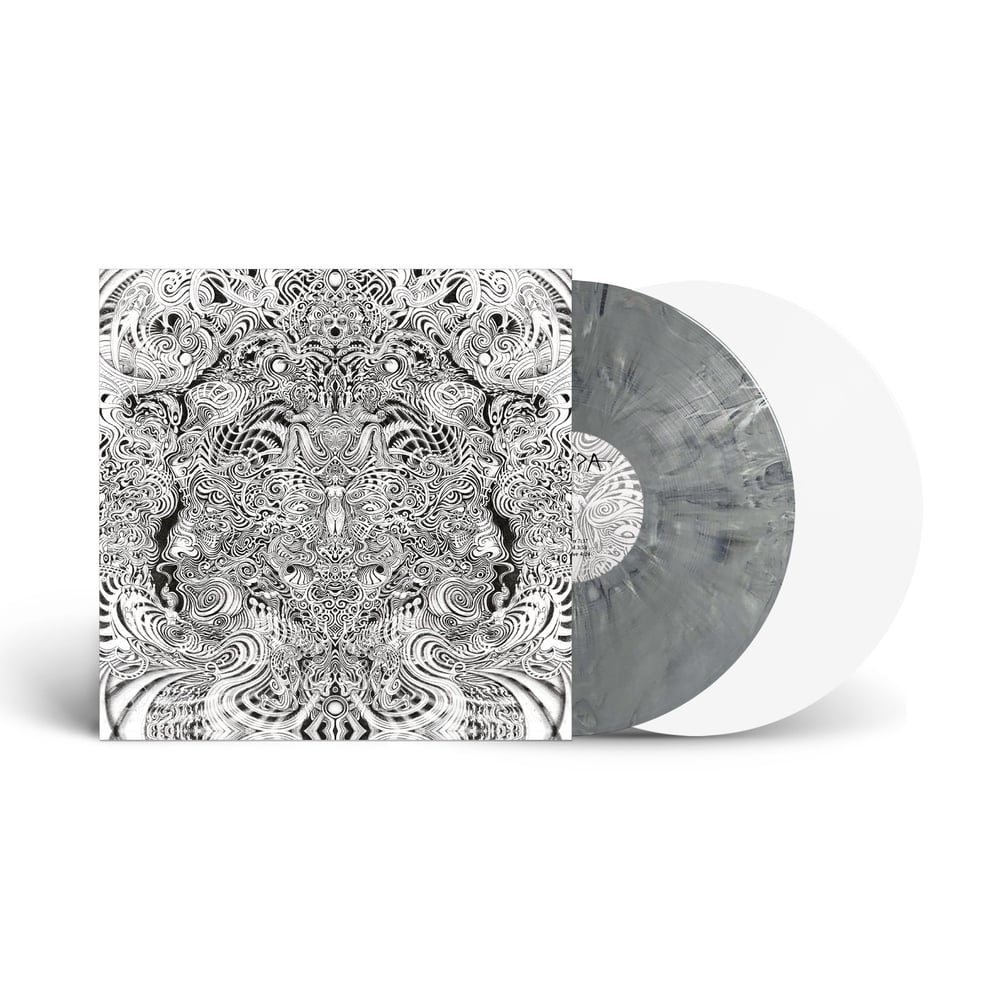 Image of FYR Vinyl (SIGNED)