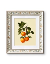 Image 1 of Oranges Branch Fruit Print