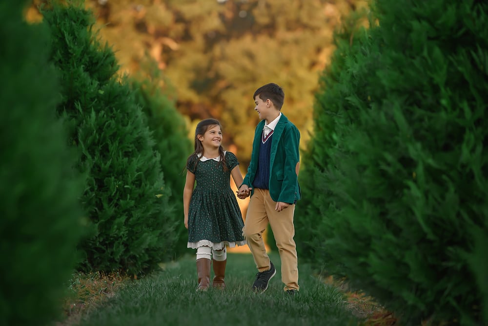 Image of Tree Farm