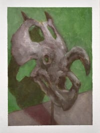 Image 2 of Einiosaurus Skull
