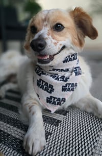 Image 2 of Star Wars Bandana