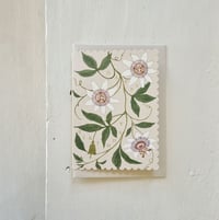 passionflower - happy birthday