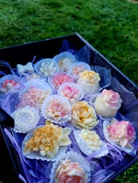 Image 1 of Chocolate Rose Garden