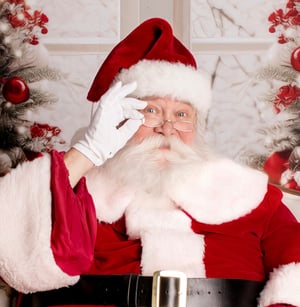 Image of Santa Experience in an Elegant Christmas Living Room - 11/2