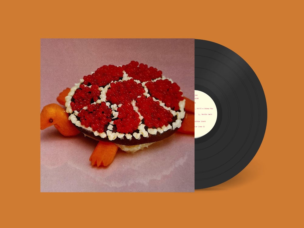 Image of SHARP PINS "TURTLE ROCK" LP [KLP311/PRNL64] 