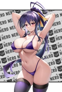 Akeno High School DXD