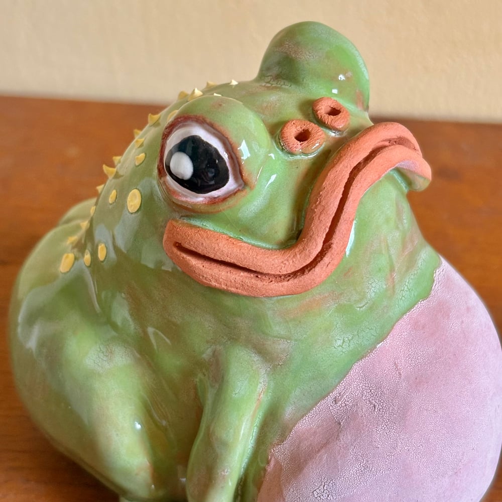 Image of Sassy frog Midori