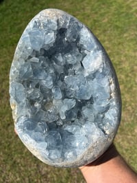 Image 17 of Celestite Cluster #1059